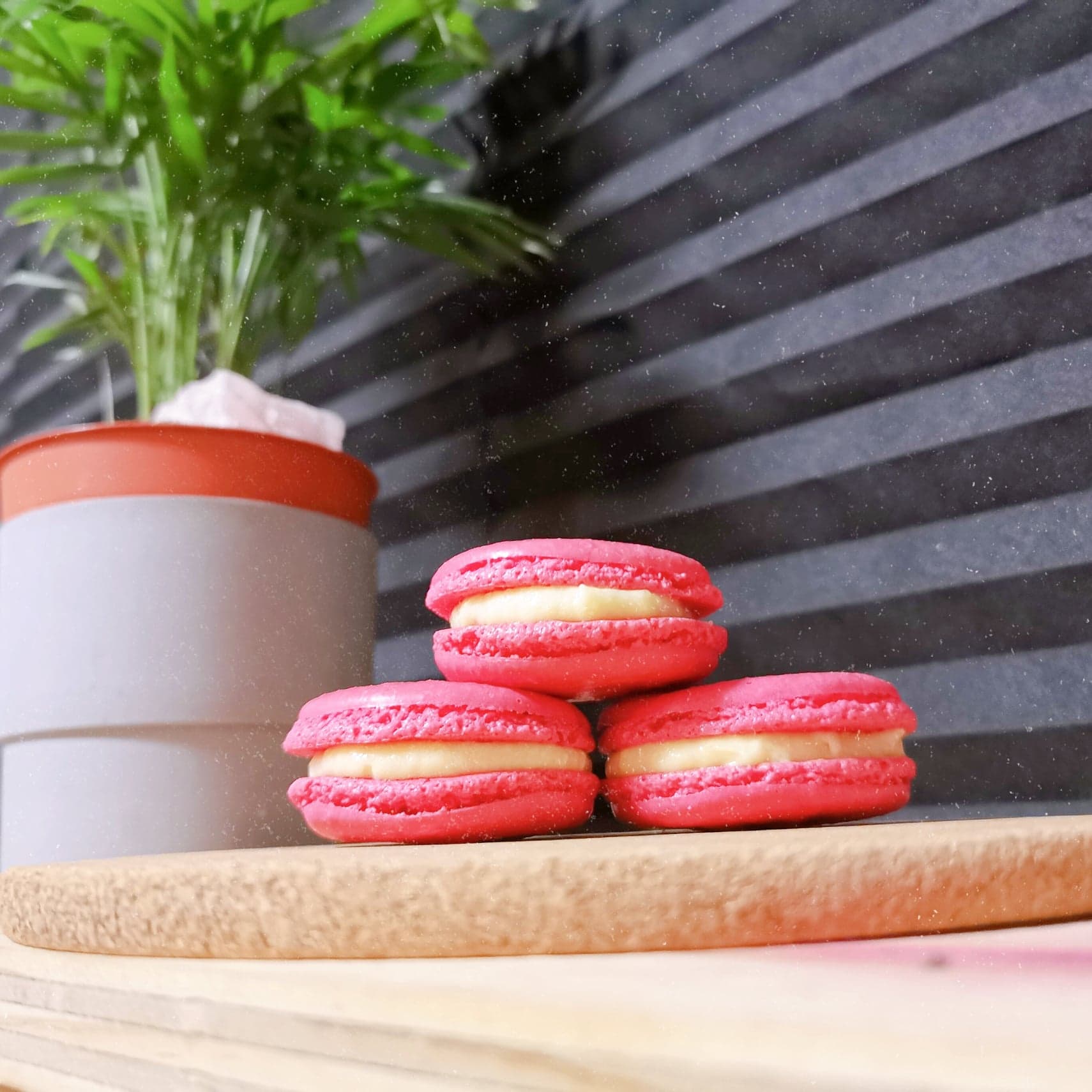 pink macaroons
